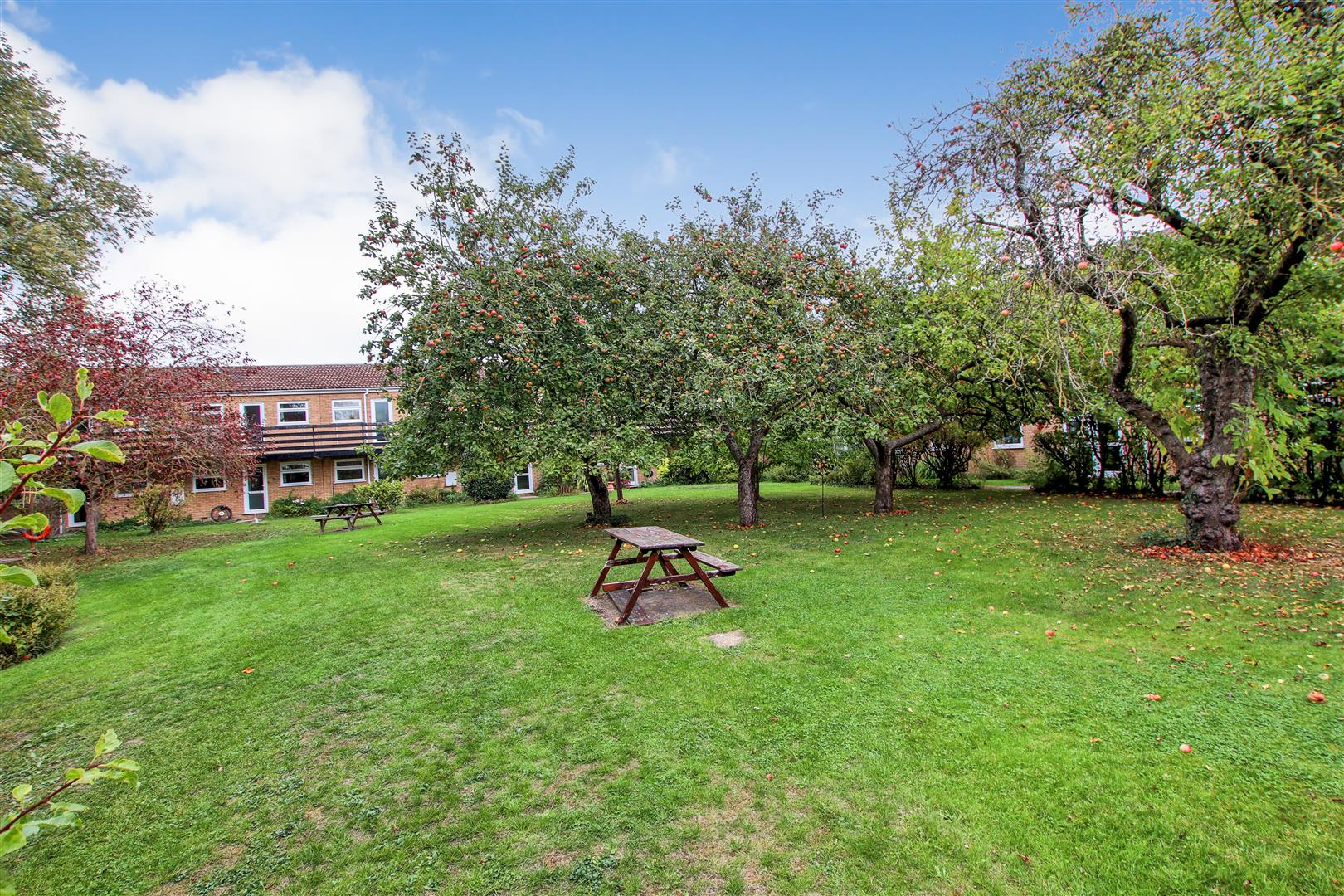 Oyster Row, Cambridge